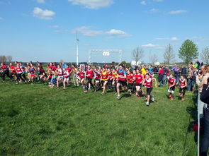 hth电竞-中国篮球青少年篮球发展与体育政策关系研究，中国青少年篮球发展现状