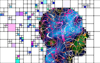 华体会-国足场上局势阅读能力评分系统模型，足球能力测试